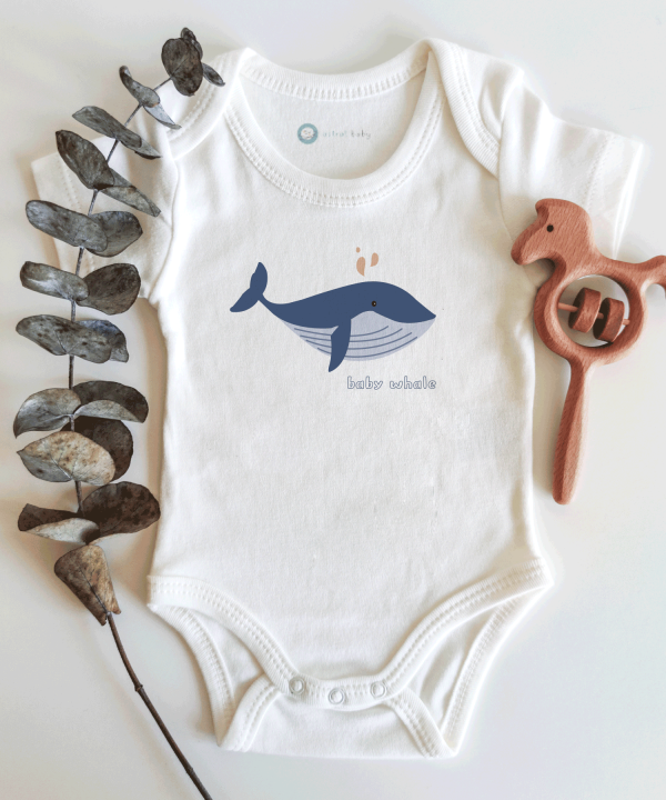 Baby Whale Kısa / Uzun Kol Çıtçıtlı Bebek Body